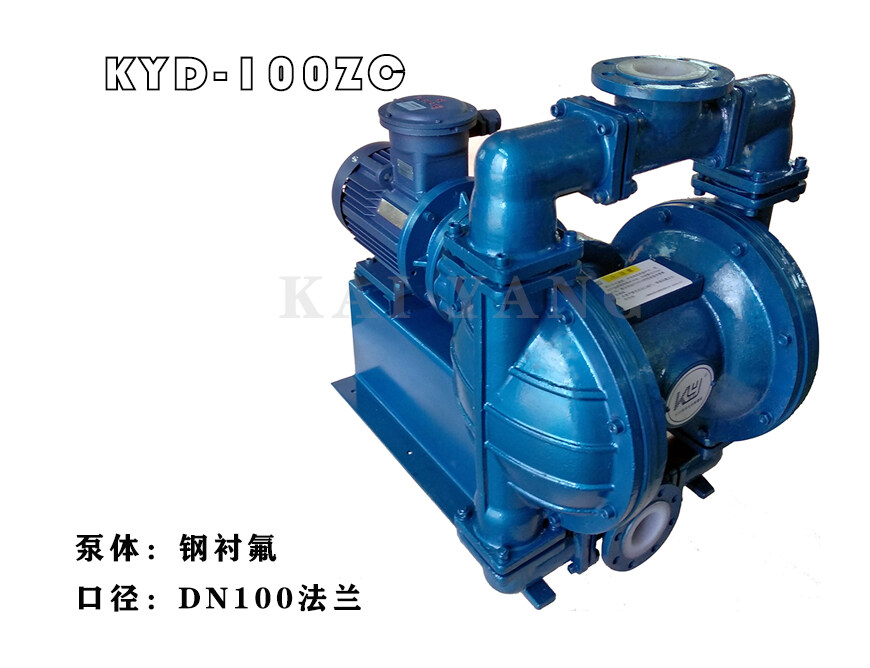 不銹鋼電動(dòng)隔膜泵視頻介紹