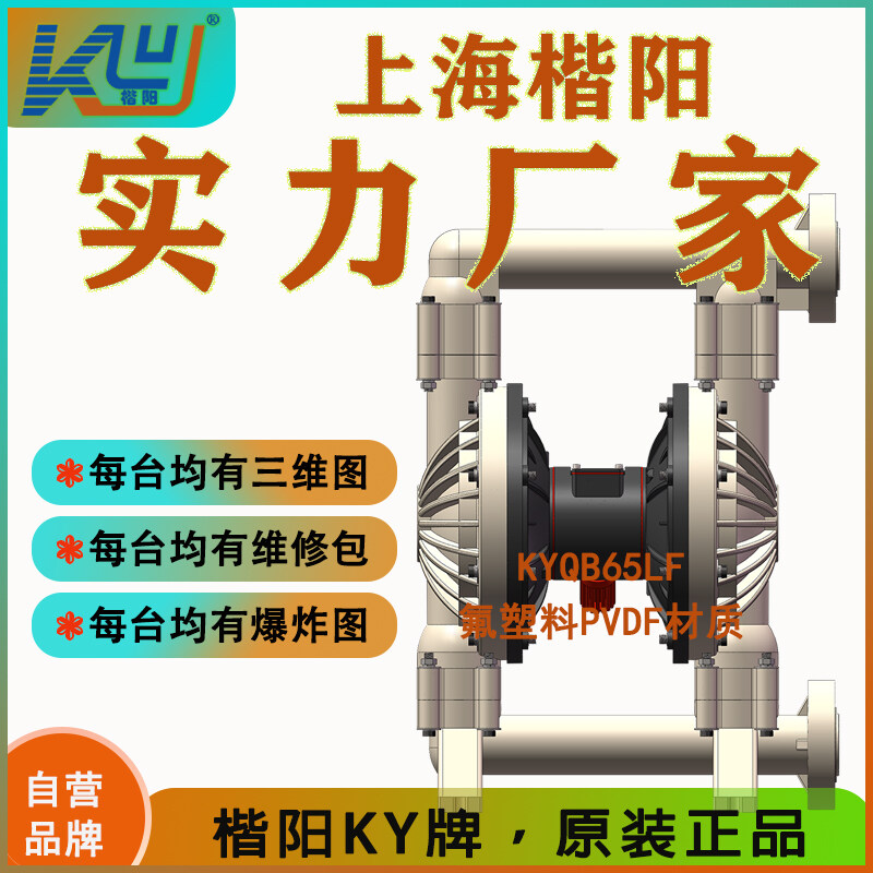 KYQ實用款-氟塑料氣動泵視頻介紹